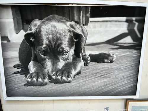 Lot #81 (1 of 1)