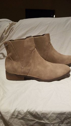 Lot #258 (1 of 7)