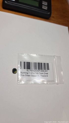 Lot #20 (1 of 8)