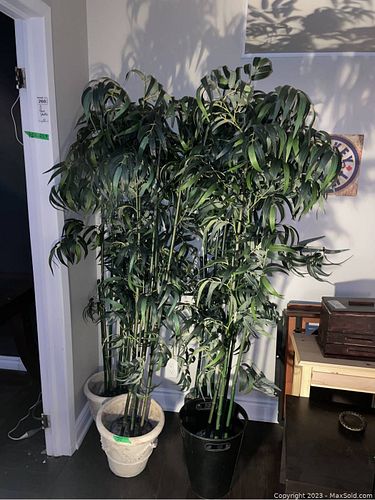 Lot #260 (1 of 8)
