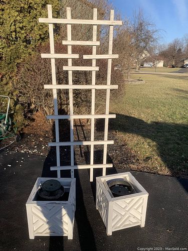 Lot #65 (1 of 4)