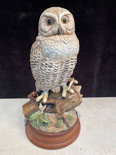 Lot #191 (1 of 4)