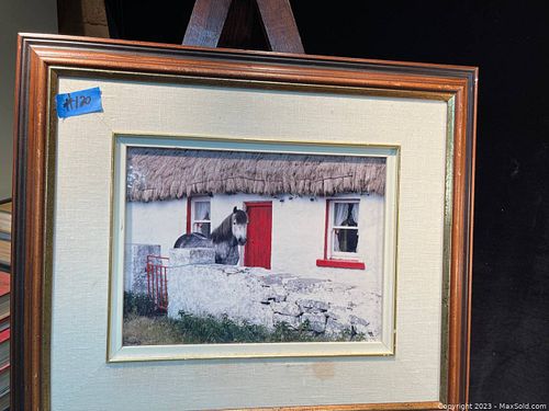 Lot #120 (1 of 3)
