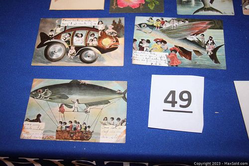 Lot #49 (1 of 18)