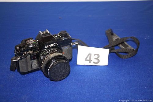 Lot #43 (1 of 7)