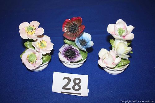 Lot #28 (1 of 12)