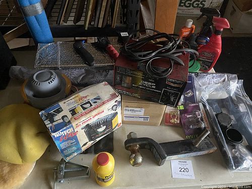 Lot #220 (1 of 12)