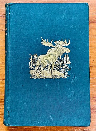 Lot #440 (1 of 15)