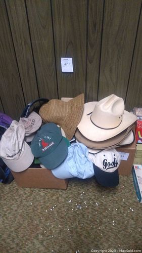 Lot #47 (1 of 7)