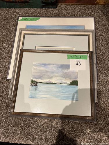 Lot #43 (1 of 13)