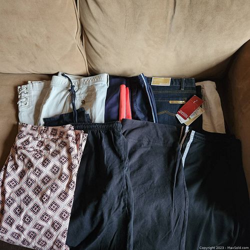 Lot #230 (1 of 3)
