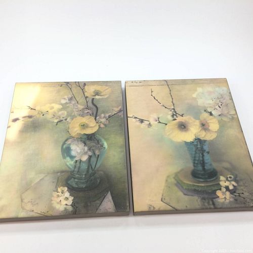 Lot #22 (1 of 2)