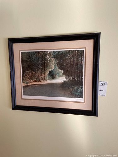 Lot #730 (1 of 6)