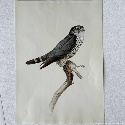 Lot #32 (1 of 5)