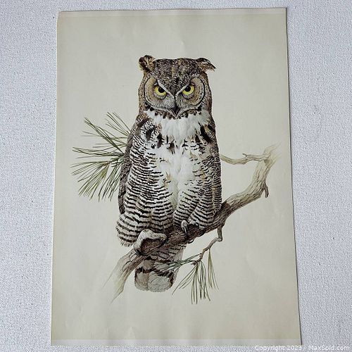 Lot #33 (1 of 5)