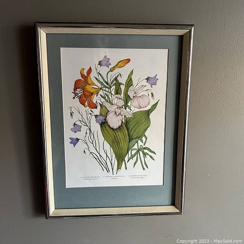 Lot #38 (1 of 4)