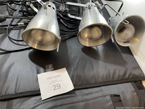 Lot #29 (1 of 2)