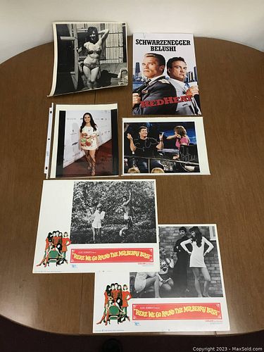 Lot #6 (1 of 18)