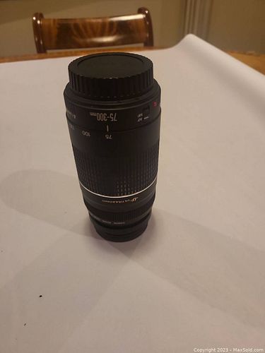 Lot #55 (1 of 4)