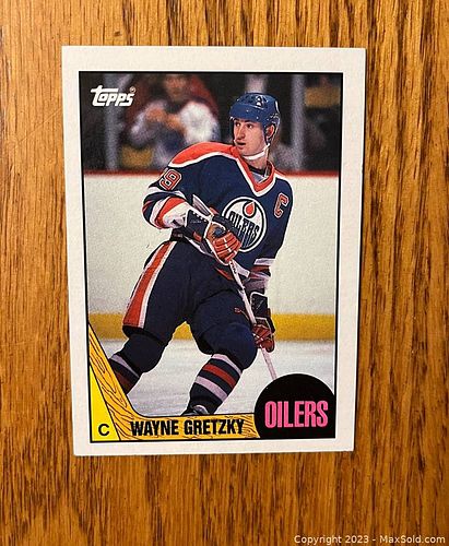 Lot #17 (1 of 2)