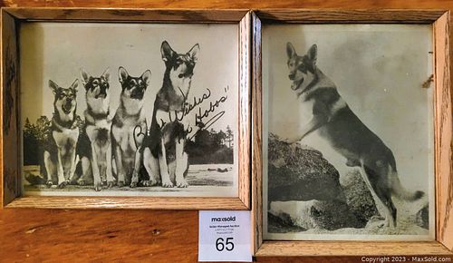Lot #65 (1 of 3)