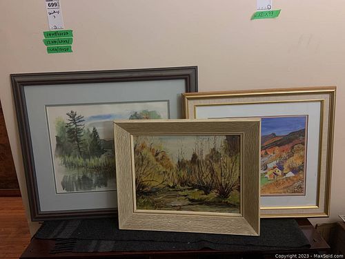 Lot #699 (1 of 18)