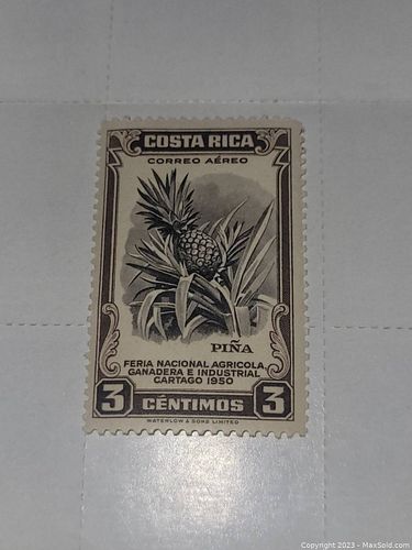 Lot #39 (1 of 2)