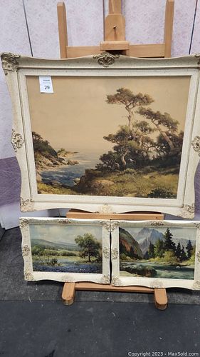 Lot #29 (1 of 19)