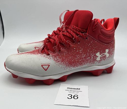 Lot #36 (1 of 5)