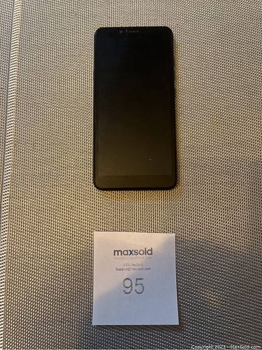Lot #95 (1 of 3)