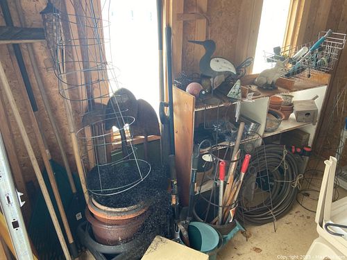 Lot #484 (1 of 17)