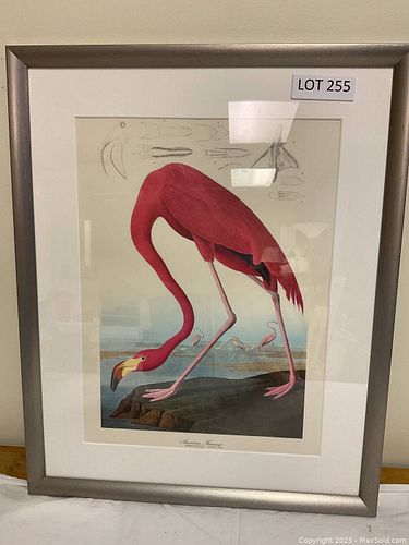 Lot #255 (1 of 6)