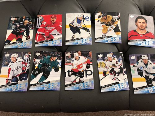Lot #61 (1 of 2)