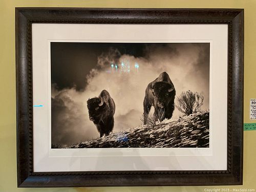 Lot #806 (1 of 5)
