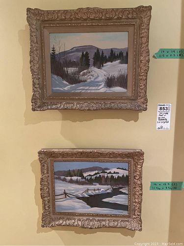 Lot #853 (1 of 10)