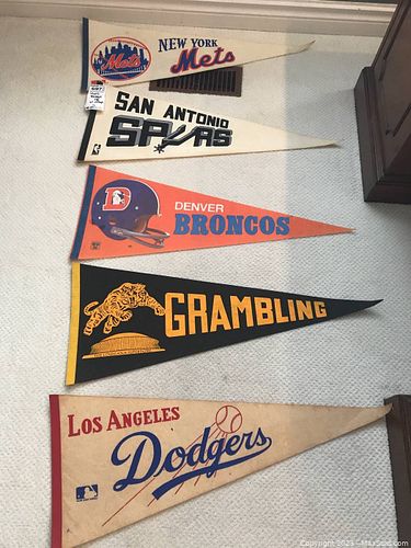 Lot #697 (1 of 16)