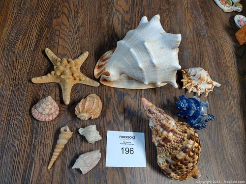 Lot #196 (1 of 6)