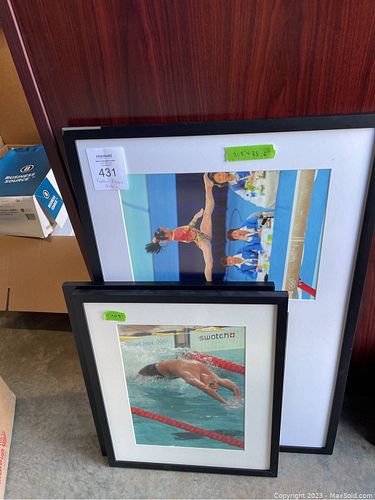 Lot #431 (1 of 10)