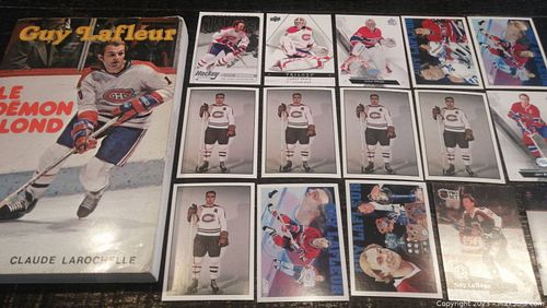 Lot #48 (1 of 14)