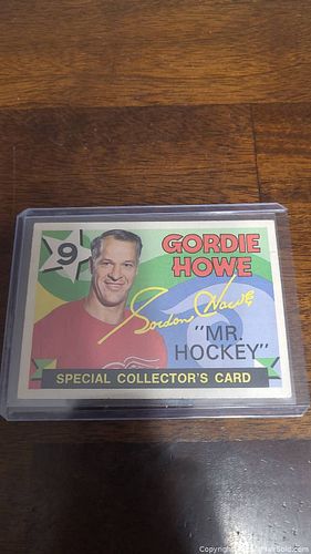 Lot #235 (1 of 2)