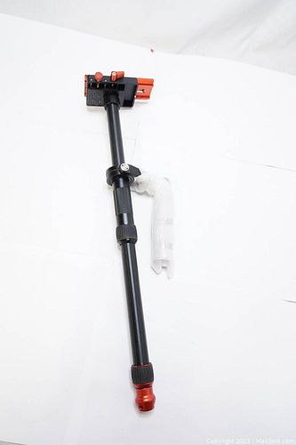 Lot #442 (1 of 4)