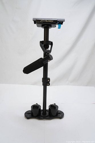 Lot #437 (1 of 5)