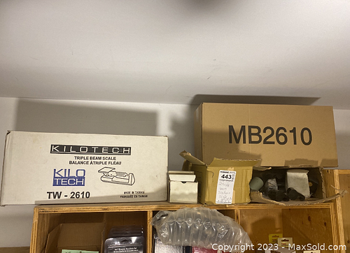 Lot #443 (1 of 5)