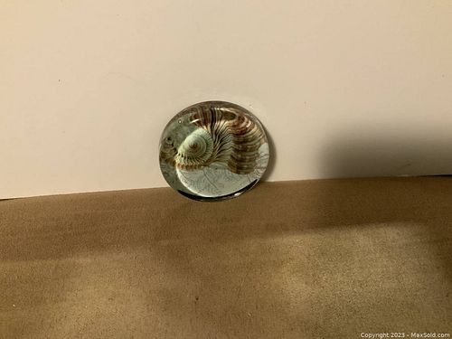 Lot #230 (1 of 3)