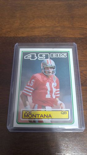 Lot #132 (1 of 2)