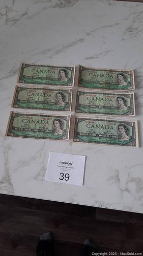 Lot #39 (1 of 13)