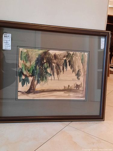 Lot #857 (1 of 11)