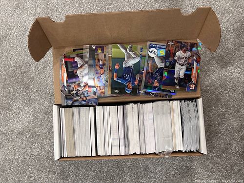 Lot #19 (1 of 1)