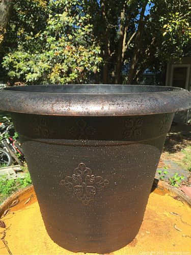 Lot #275 (1 of 2)