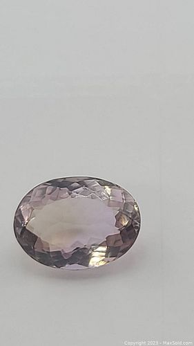 Lot #21 (1 of 10)